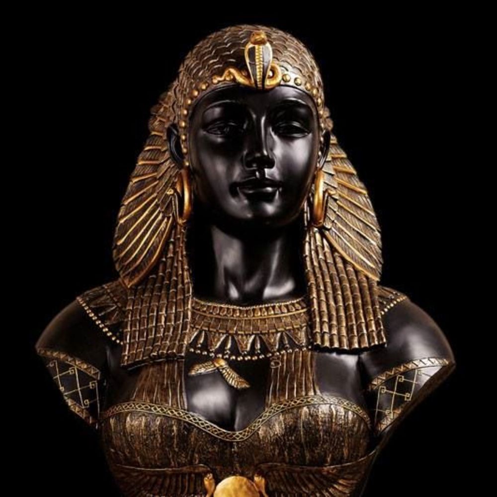 Meet your Posher, Cat